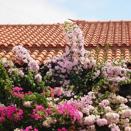 Apartment Fotopoulos *